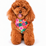 Miss Bali Isla Bonita All-over print bandana