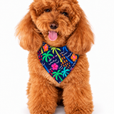 Miss Bali Troical All-over print bandana