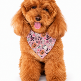 Miss Bali Halloween All-over print bandana