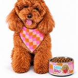 Miss Bali Groovy Pet bowl