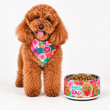 Miss Bali Isla Bonita Pet bowl