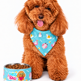Miss Bali Pool Party Pet bowl