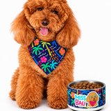 Miss Bali Tropical Pet bowl
